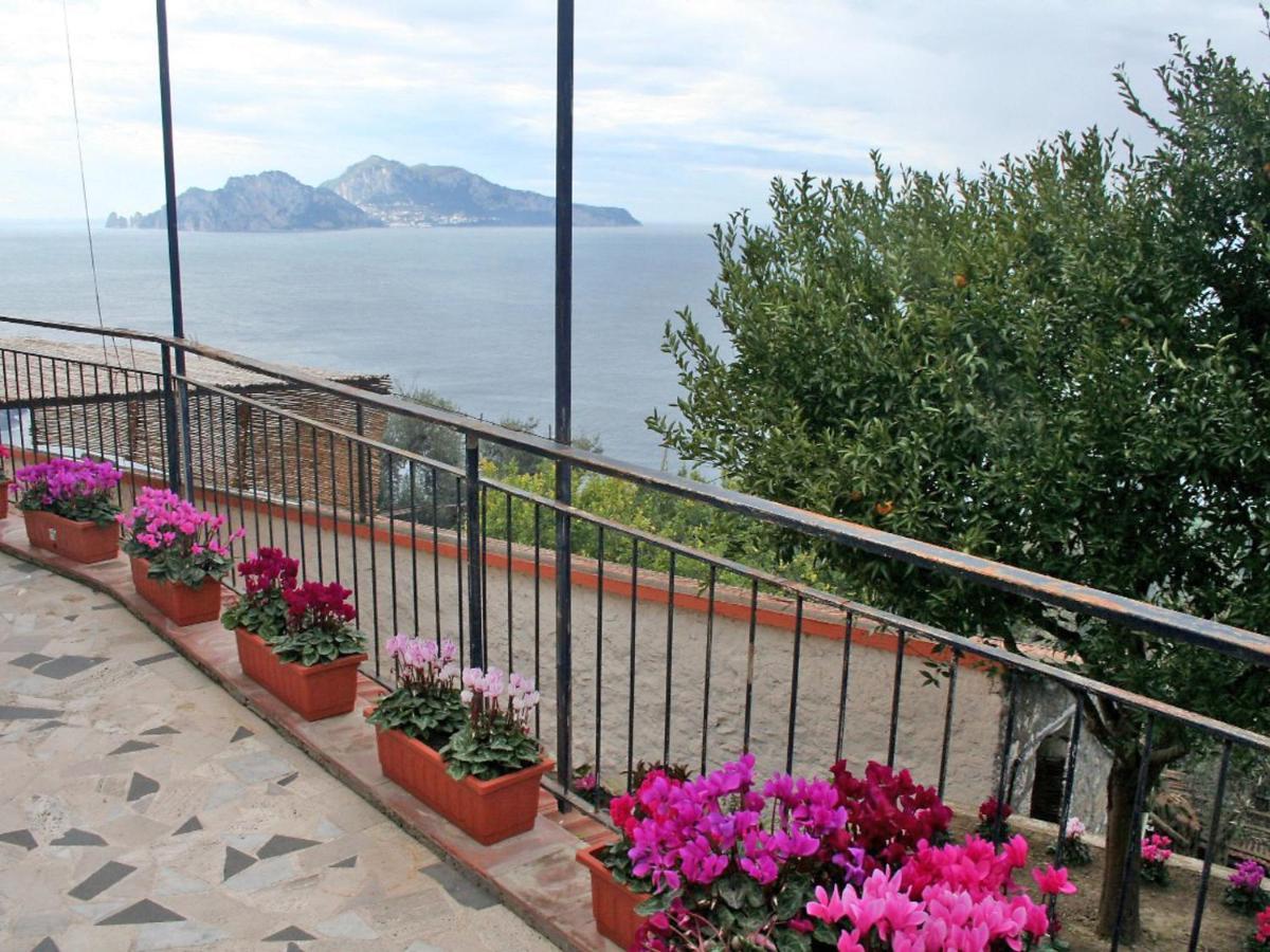 Apartment Don Luigino - Capri View By Interhome 马萨鲁布朗斯 外观 照片