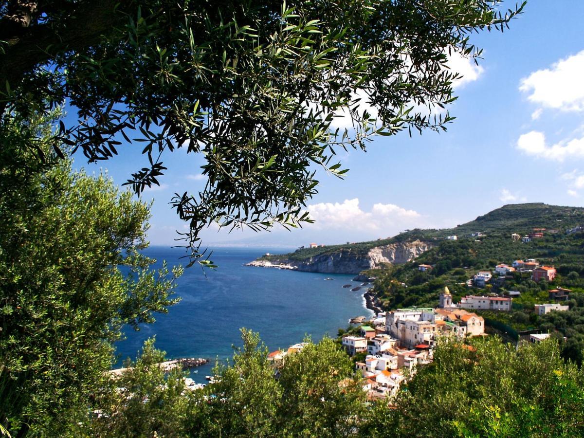 Apartment Don Luigino - Capri View By Interhome 马萨鲁布朗斯 外观 照片